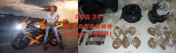 спиды Богородицк