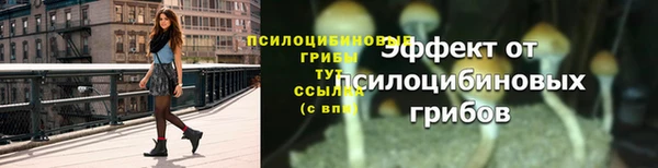 шишки Бронницы