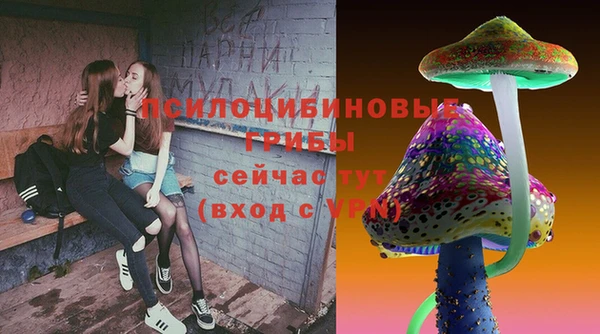 шишки Бронницы