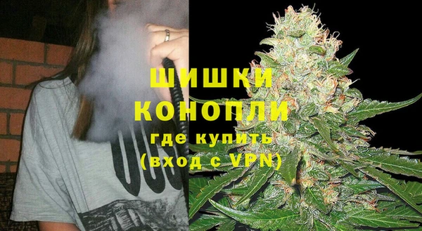 спиды Богородицк